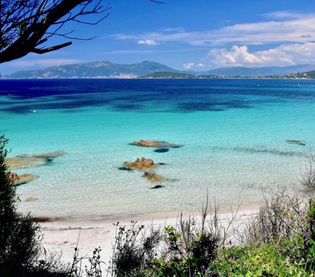 Nouveaute! Magnifique Villa A 2 Minutes Des Plus Belles Plages De La Rive Sud Porticcio  Luaran gambar